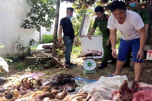 涉嫌違法者阮文成（白衣）及被宰殺的各種野生動物。（圖源：C.T.V）