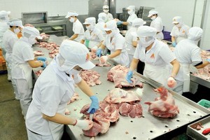 Vissan公司在加工豬肉。