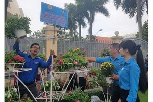 共青團員在佈置盆栽。