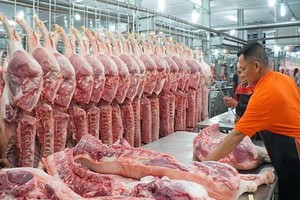 預計今年第四季度，豬群將增14%，能滿足今年底的消費需求。（圖源：A.T）