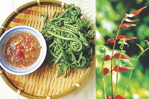 （示意圖源：互聯網） 