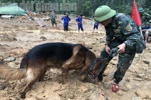 救援力量帶著警犬在滑坡現場進行搜救工作。（圖源：H.N）