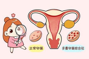 （示意圖源：互聯網） 