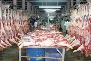 福門集散市場一瞥。（圖源：互聯網）