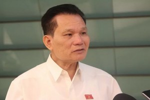 國會各社會問題委員會副主任裴仕利接受記者採訪。（圖源：明戰）