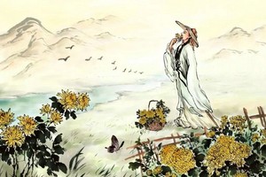 （示意圖源：互聯網） 