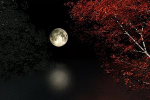 （示意圖源：互聯網） 