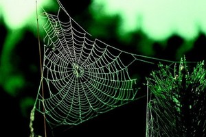 （示意圖源：互聯網） 