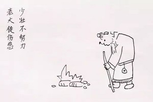 （示意圖源：互聯網） 