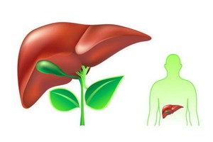 （示意圖源：互聯網） 