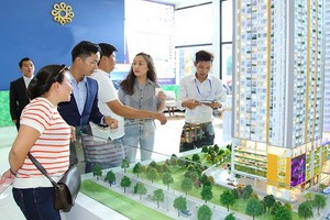 平民價中等樓房項目備受民眾歡迎。