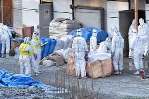 日本香川縣出現禽流感，將撲殺約 33 萬隻雞。（圖源：互聯網）