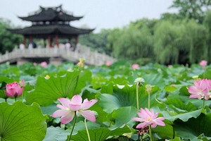 （示意圖源：互聯網） 