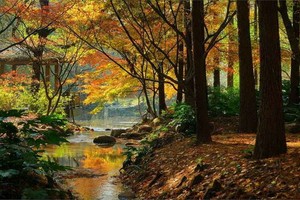 （示意圖源：互聯網） 