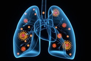 （示意圖源：互聯網） 