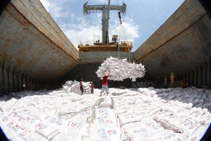 圖為大米出口裝船。（圖源：夏安）