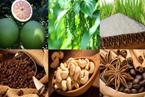 我國農產品逐步走出國門遠銷世界各地。（示意圖源：互聯網）