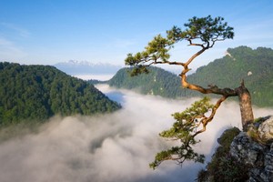 （示意圖源：互聯網） 