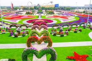 迪拜“奇跡花園”一瞥。（圖源：互聯網）