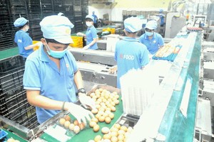 V.Food公司的蛋類參加平抑物價計劃。