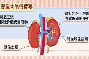 （示意圖源：互聯網） 
