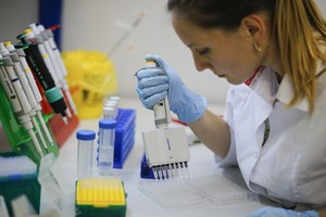 新冠疫苗研究人員在實驗室內工作。（圖源：新華社）