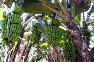 （示意圖源：互聯網） 