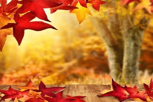 （示意圖源：互聯網） 