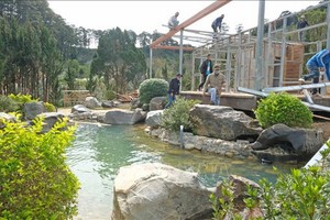 （圖源：越通社） 