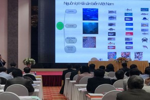 圖為2020年水產資源保護與發展計劃總結與2020年越南海洋保護區系統規劃會議現場。