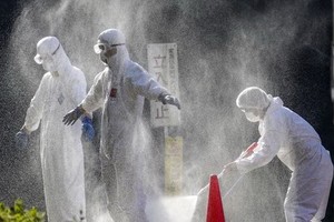 滋賀縣13日宣佈，東近江市一家養雞場檢測出H5亞型高致病性禽流感病毒，相關部門已開始撲殺這家養雞場飼養的約1萬隻雞。（圖源：路透社）