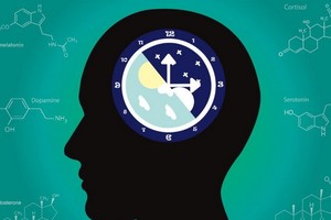 （示意圖源：互聯網） 