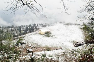 北部迎來寒潮，高山出現白雪皚皚。（圖源：TL）