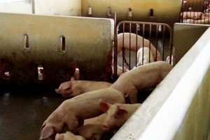 （示意圖源：互聯網） 