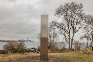 加拿大電視台(CTV)相關報導截圖。