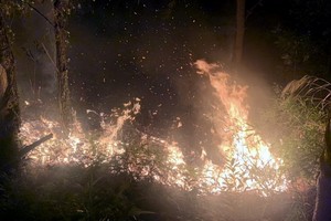 （圖源：越通社） 