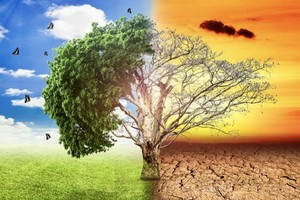 必須立即行動以挽救地球環境。