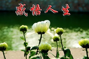 （示意圖源：互聯網） 