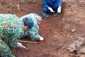 584號烈士骸骨歸集隊成員在挖掘並歸集烈士骸骨。（圖源：越通社）