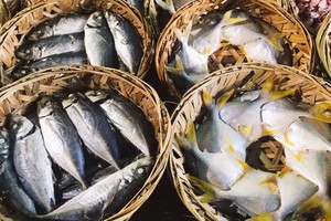 （示意圖源：互聯網） 