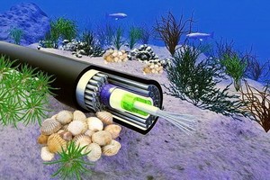 （示意圖源：互聯網） 