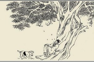 （示意圖源：互聯網） 