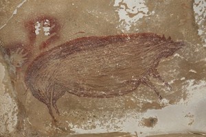 這幅壁畫繪製了野豬畫像，塗上了深紅色赭色顏料。（圖源：互聯網）