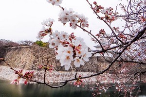 （示意圖源：互聯網） 