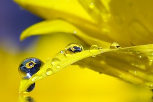 （示意圖源：互聯網） 