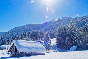 （示意圖源：互聯網） 