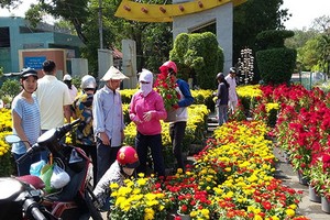 （示意圖源：互聯網） 