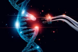 （示意圖源：互聯網） 