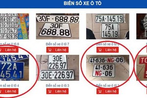 發售藍色、紅色假外交車牌的網站。