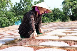 米紙曬乾工段。（圖源：越通社）